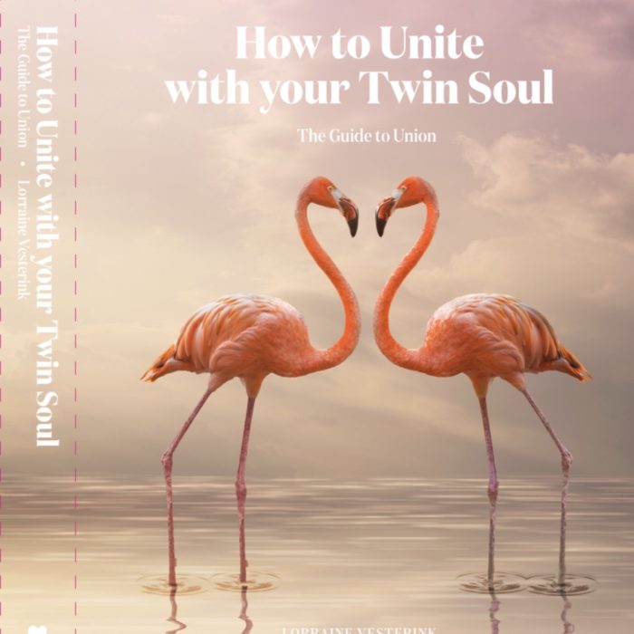 How to Unite with your Twin Soul