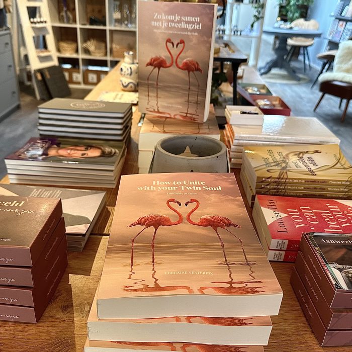 Alternative view of How to Unite with your Twin Soul