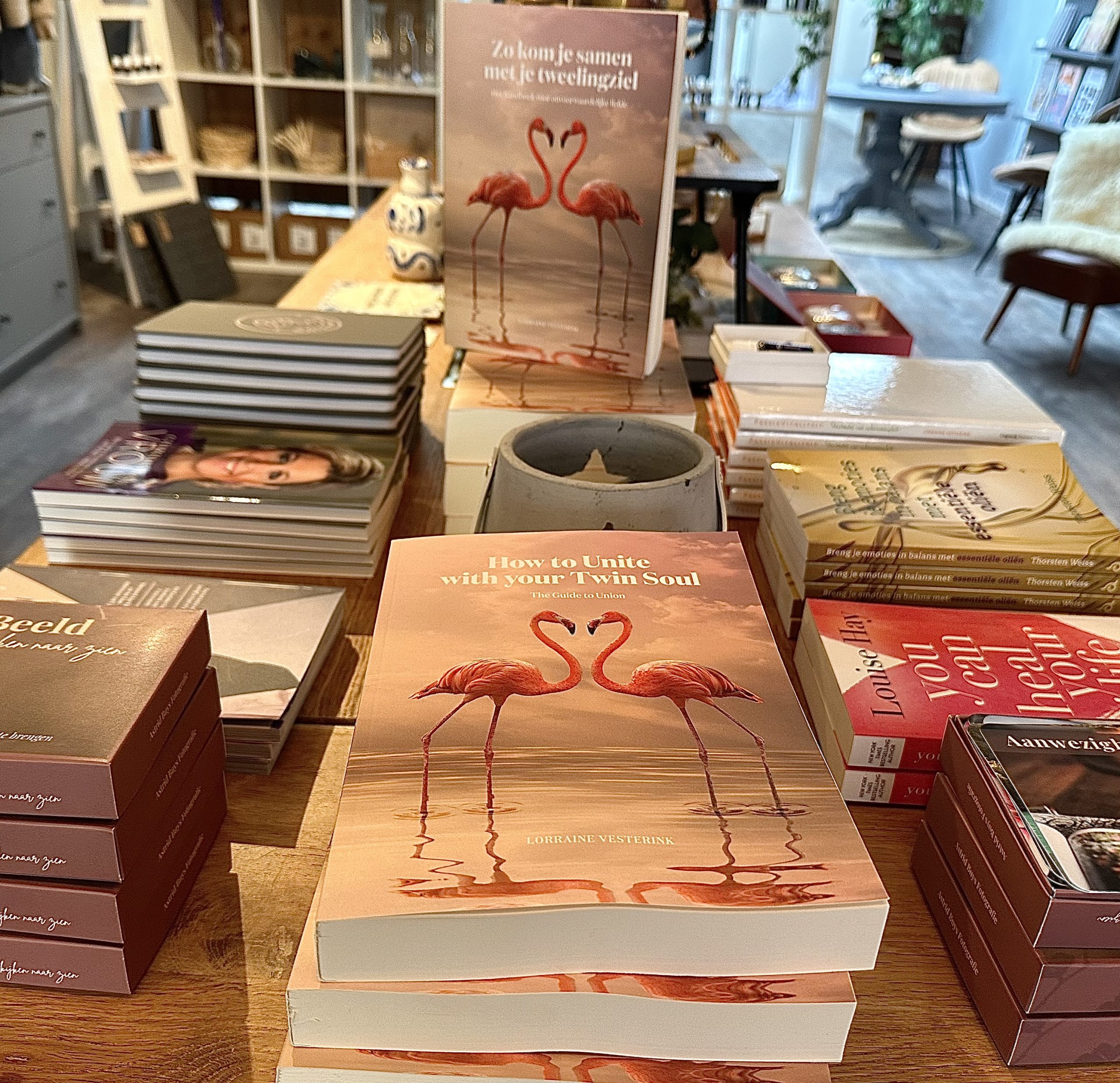 How to Unite with your Twin Soul - Afbeelding 2