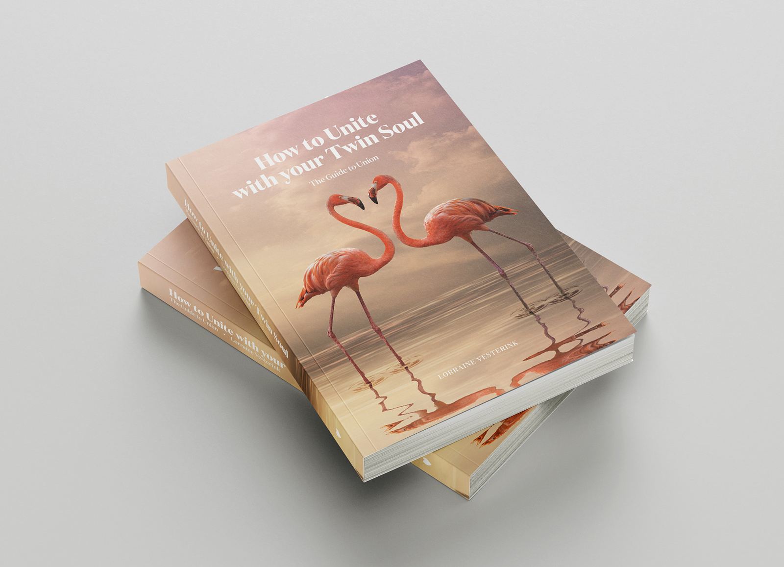 How to Unite with your Twin Soul