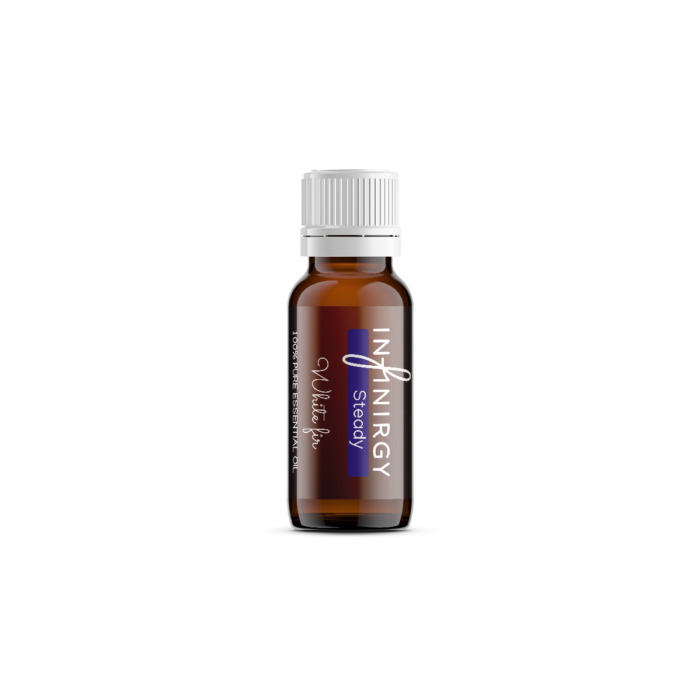 Steady - White fir